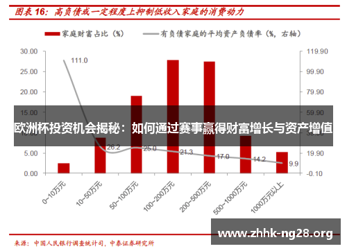 欧洲杯投资机会揭秘：如何通过赛事赢得财富增长与资产增值