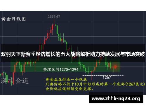 双羽天下新赛季经济增长的五大战略解析助力持续发展与市场突破