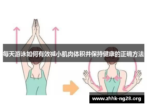 每天游泳如何有效减小肌肉体积并保持健康的正确方法