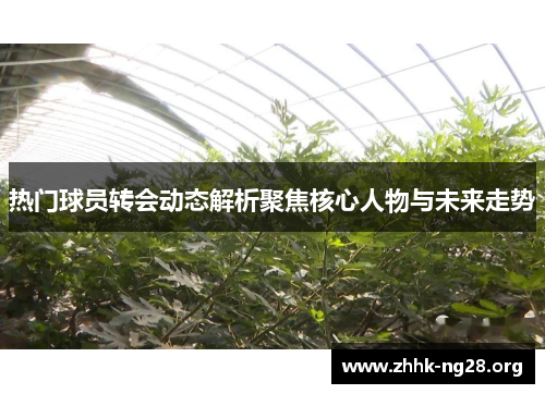 热门球员转会动态解析聚焦核心人物与未来走势